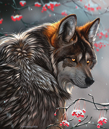 Art, Berries, Branches, Predator, Wolf, Sight, Opinion HD phone wallpaper