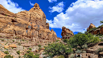 Behind the Rocks Wilderness Study Area, Utah, clouds, trees, sky, usa, landscape HD wallpaper