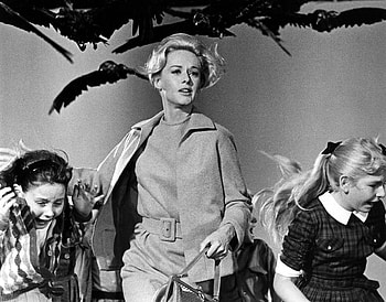 Alfred Hitchcock, The Birds, 1963, Movie HD wallpaper