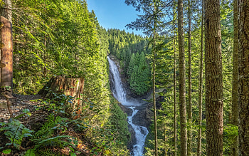 Amazing sunrise, Oregon, waterfall, trees, forest, usa, sky HD wallpaper