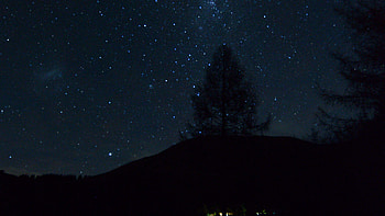 Trees Under Starry Sky Milky Way Nighttime Dark Background Dark Background HD wallpaper