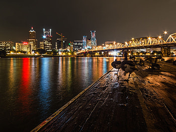 Downtown Portland over, Night city USA HD wallpaper