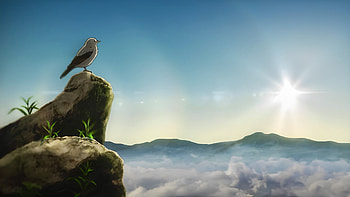 Violet Evergarden — Dawn Over the Cloudsea, Anime, Violet Evergarden HD wallpaper