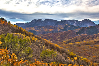 Nature, Trees, Mountains, Relief, Slope HD wallpaper