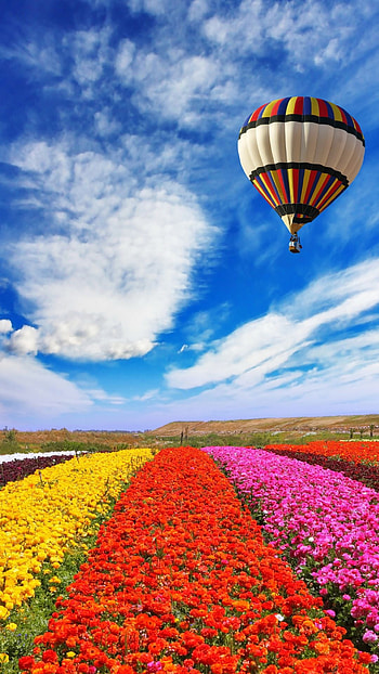Hot air balloon , Blue sky graphy, Stunning aerial views, backgrounds HD phone wallpaper