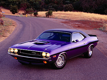 Transport, Auto, Dodge Challenger HD wallpaper