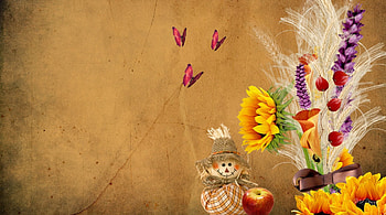 Falls Bouquet for You, parchment, sunflower, butterflies, doll, brown, tan, autumn, scare crow, bow, seeds, ribbon, fall, papillon, grass, paper, wheat, apple HD wallpaper