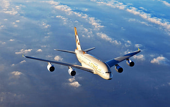 Etihad Airways, Customer review, Seat comfort, Quality service HD wallpaper