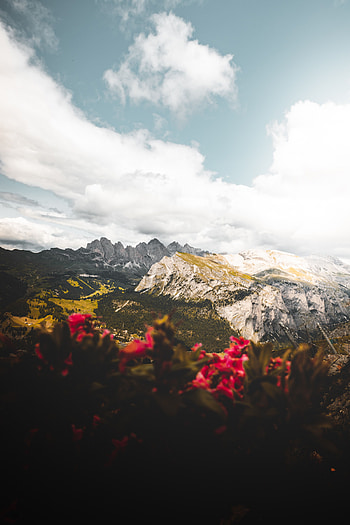 Nature, Flowers, Mountains, Clouds, Vertex, Height, Tops HD phone wallpaper