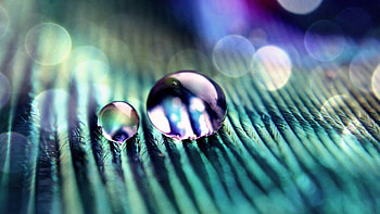 Drops, Macro, Dark, Surface HD wallpaper