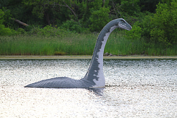 Loch Ness Monster, Sightings, Enigma, Water creature HD wallpaper