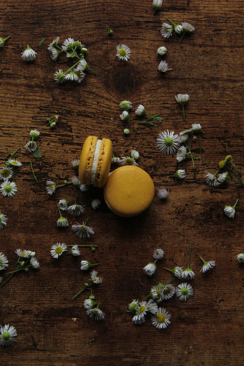 Flowers, Food, Camomile, Desert, Cake, Chamomile, Macaroni, Pasta HD phone wallpaper