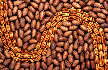 Pecan information, Wikipedia source, Nut facts, An edible delight HD wallpaper