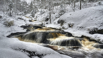 rapid river in a snow storm, winter, river, rapids, snow, forest HD wallpaper