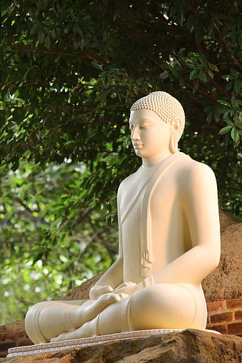 Serene white Buddha statue in meditation under a lush green tree outdoors. HD phone wallpaper