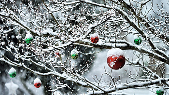 Holidays, New Year, Snow, Branches, Balls HD wallpaper