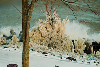 Ice sculptures on Lake Erie during a storm, cold, Ice, flowers, water HD wallpaper