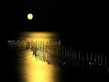 Sea Scape, sea, scape HD wallpaper