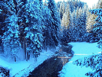 frozen landscape, blue, river, frozen, trees, nature, forest HD wallpaper