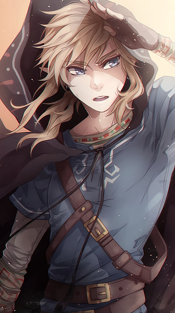 Hylian Horizon — Link (Breath of the Wild) , The Legend of Zelda, Link, video game, The Legend of Zelda: Breath of the Wild HD phone wallpaper
