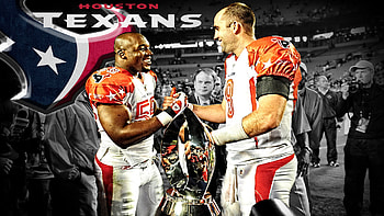 Pro Bowl 2010, Houston Texans HD wallpaper