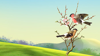 Spring Birds, Firefox theme, birds, field, flowers, spring, tree HD wallpaper