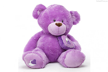 Teddy Bear, purple, teddy, gift, for you HD wallpaper