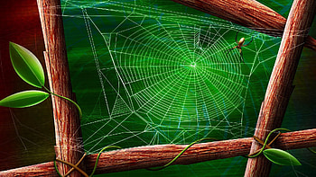 Leaves, Web, Vector, Wood, Wooden, Branches, Spider HD wallpaper