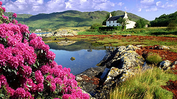 beautiful retirement home, hills, gorgeous, sky, beautiful, flowers HD wallpaper