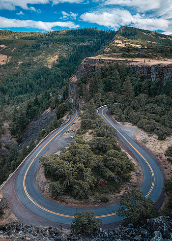 Nature, Trees, Rocks, Road, Markup, Forest HD phone wallpaper