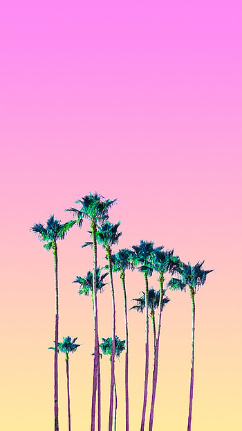 ... , and then in your 's settings, choose a new from your camera roll. These are high-quality so this page may take a while to ... HD phone wallpaper