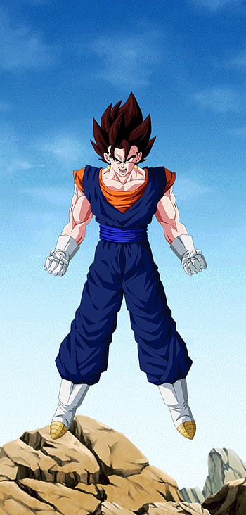 This is Vegito, Anime, Goku, Vegeta, DBZ, Fusion, Potara HD phone wallpaper