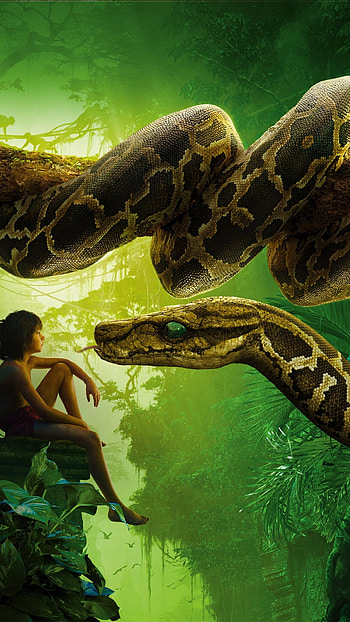 Scene from "The Jungle Book (2016", snake, movie HD phone wallpaper