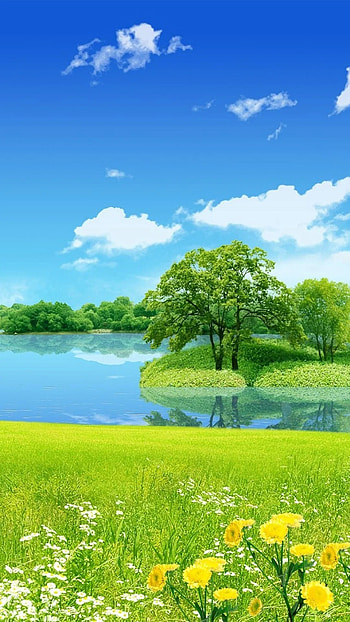 Nature For Android Mobile Full Screen HD phone wallpaper