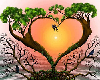 Love is in the air !, birds, love, branches, shape, heart, sun, tree HD wallpaper