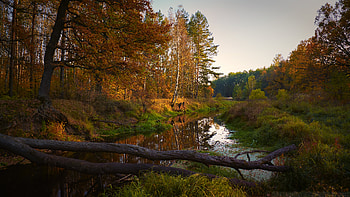 Landscape, Nature, Rivers, Trees, Autumn HD wallpaper