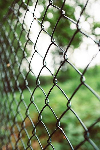 Macro, Grid, Fence, Focus, Lattice, Trellis HD phone wallpaper