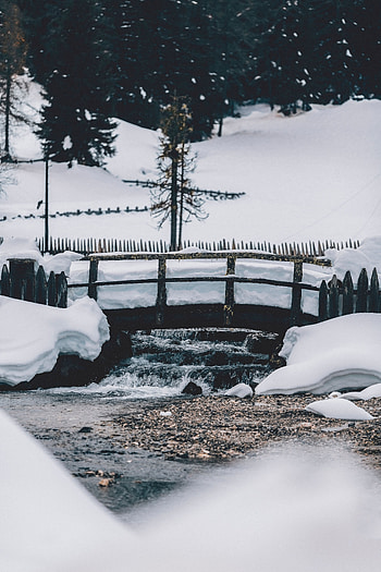 Winter, Nature, Snow, Wood, Tree, Bridge HD phone wallpaper