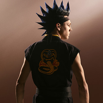 Hawk, Tv, Cobrakai HD phone wallpaper