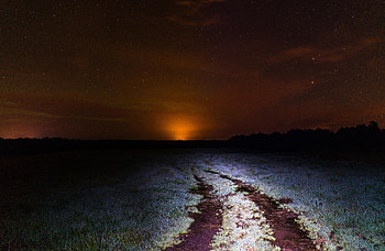 Nature, Grass, Night, Horizon, Shine, Light, Starry Sky HD wallpaper