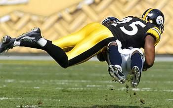 Steeler for HD wallpaper