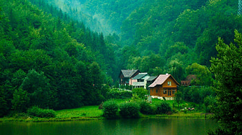 lake houses in the forest, rain, houses, forest, lake, mountain HD wallpaper