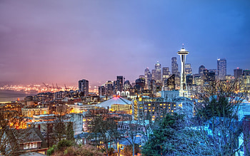 seattle panorama at night r, night, city, lights, tower, trees, r HD wallpaper