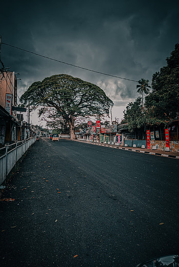 Road, cloud, sky, dark, tree HD phone wallpaper