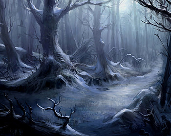 Horror, Scary, Halloween, Dark, Creepy, Forest, Spooky HD wallpaper