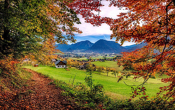 Autumn village, peaceful, houses, mountain, village, fall, leaves, valley, autumn, view, branches, foliage HD wallpaper