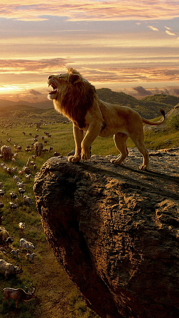 Lion , Stunning visuals, Mobile , Roaring beauty HD phone wallpaper
