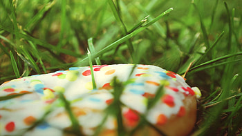 Food, Grass, Sweet, Bakery Products, Baking, Doughnut, Donut HD wallpaper