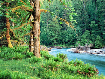 Landscape, Nature, Rivers HD wallpaper