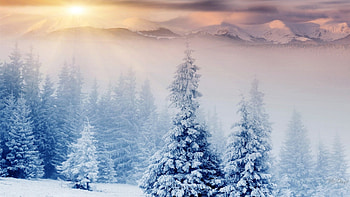 Sunrise Over the Mountains, pastel, winter wonderland, sunrise, mist, fog, Christmas, snow, trees, sky, mountains, forest, sunset HD wallpaper